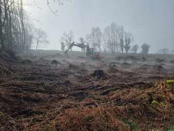 Restauration de Chemin et Remise en Ordre de Sapinière au Gouray par M2TP