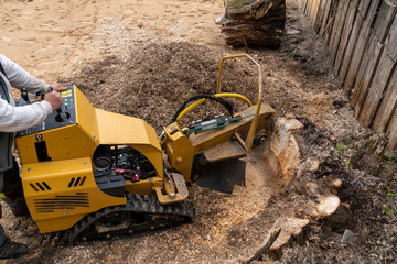 Faites appel à M2TP pour un arrachage de souche d'arbre professionnel